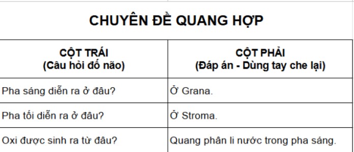ghi nhớ s&acirc;u