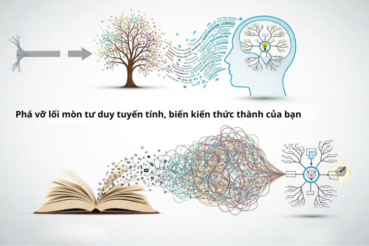 sơ đồ tư duy là gì