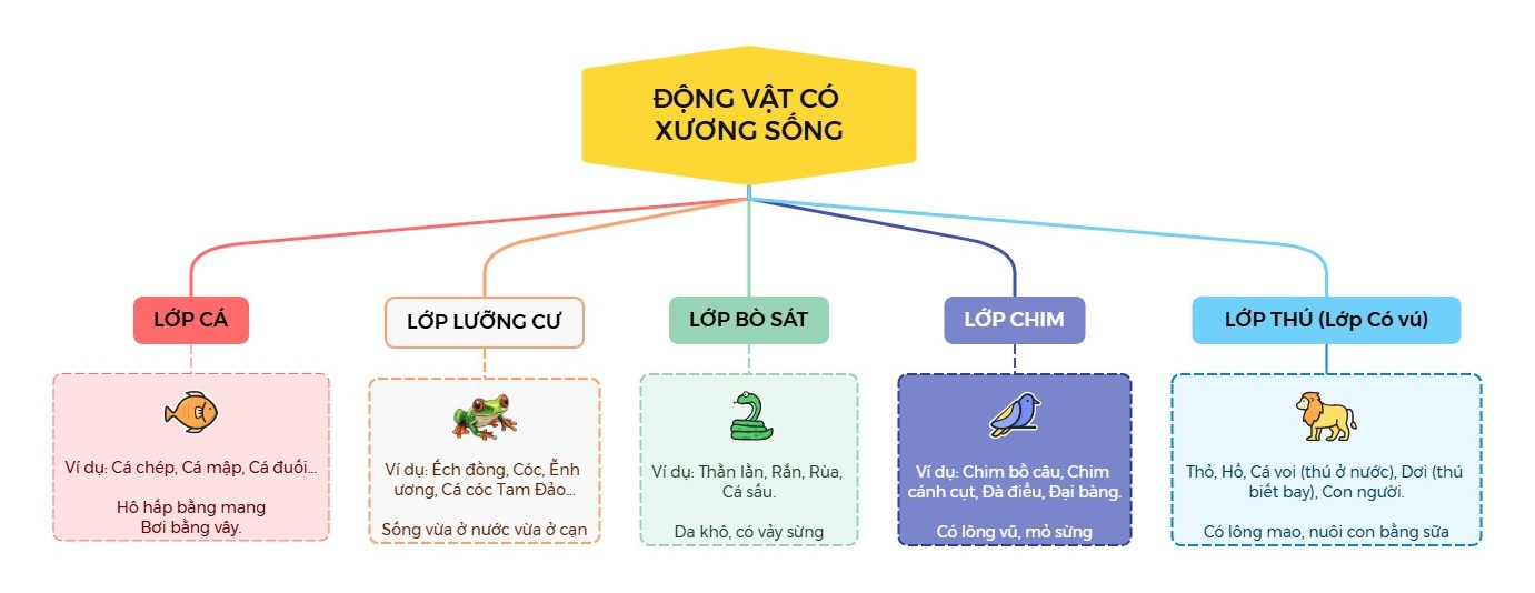 sơ đồ tư duy môn sinh học