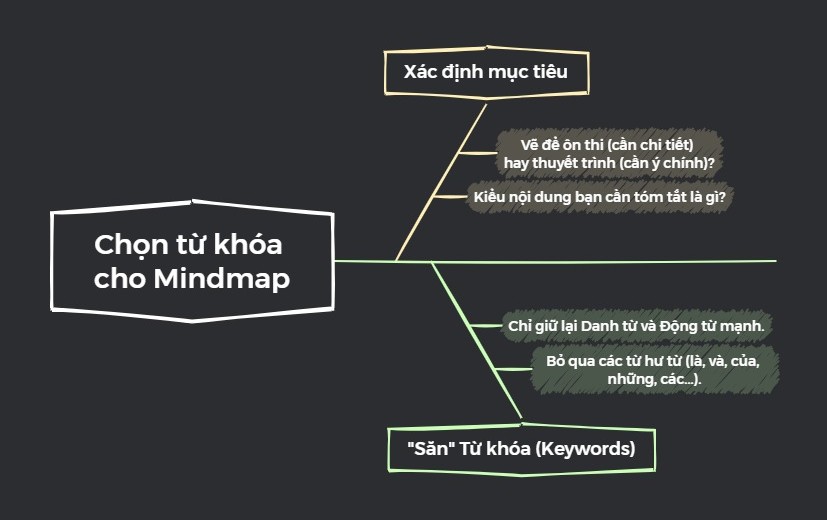 sơ đồ tư duy xương cá