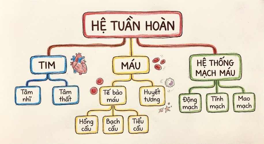 sơ đồ tư duy