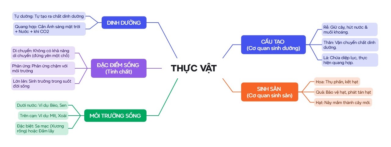 sơ đồ tư duy môn sinh