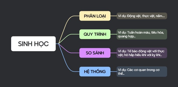 cách vẽ sơ đồ tư duy môn sinh