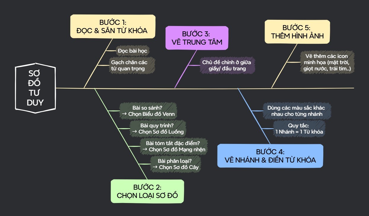 sơ đồ tư duy sinh học