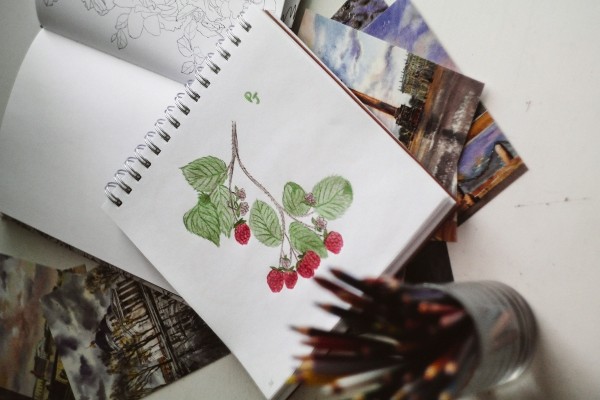 sổ ký họa là gì