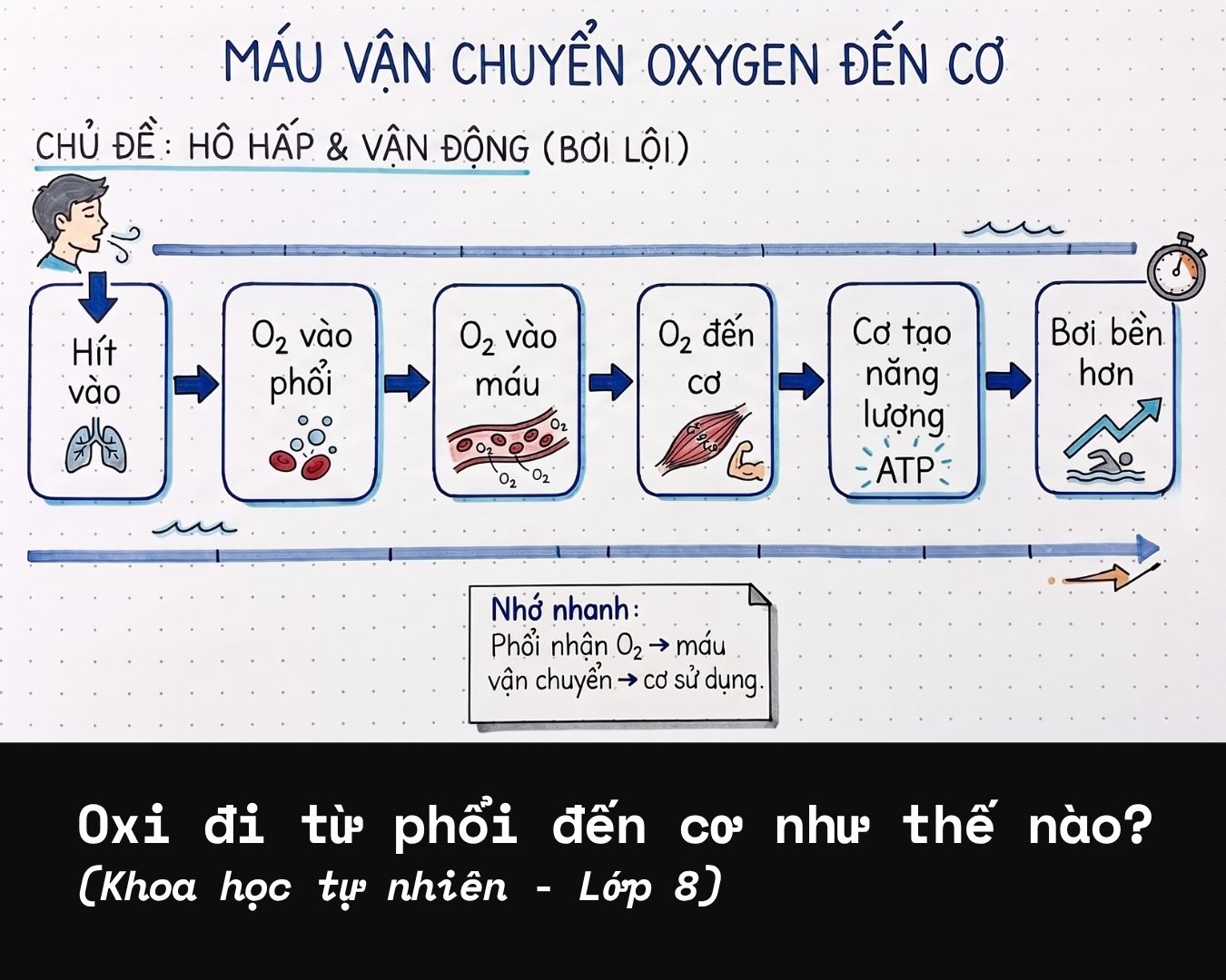 chiến dịch liên minh học bá
