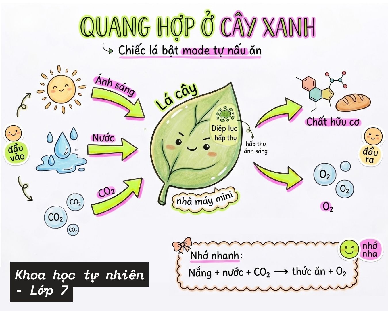 liên minh học bá