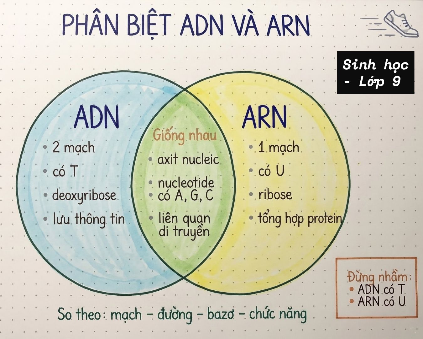 học bá có gu