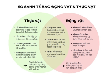 Sơ đồ Tư duy môn sinh học: Bí kíp 