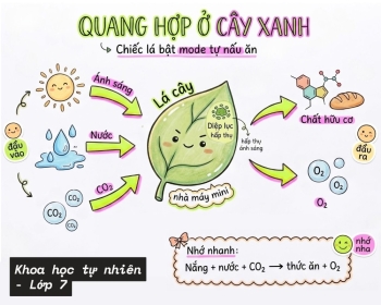 Tặng mẫu sơ đồ Tư duy từ Liên Minh học bá - Tìm phương pháp học của riêng bạn